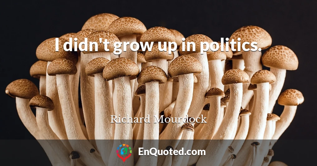 I didn't grow up in politics.