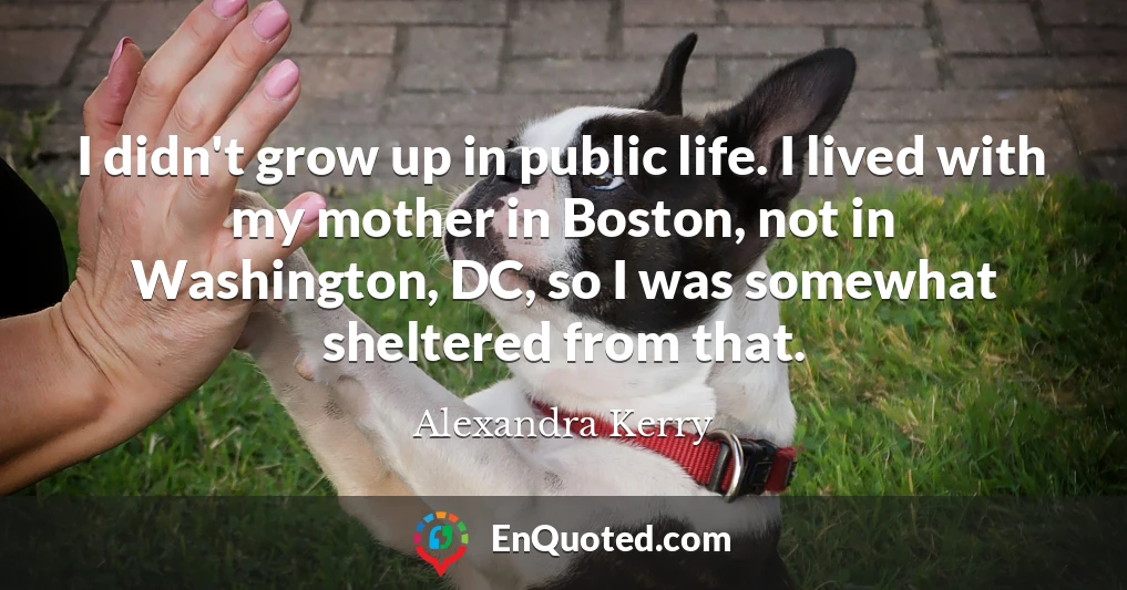 I didn't grow up in public life. I lived with my mother in Boston, not in Washington, DC, so I was somewhat sheltered from that.