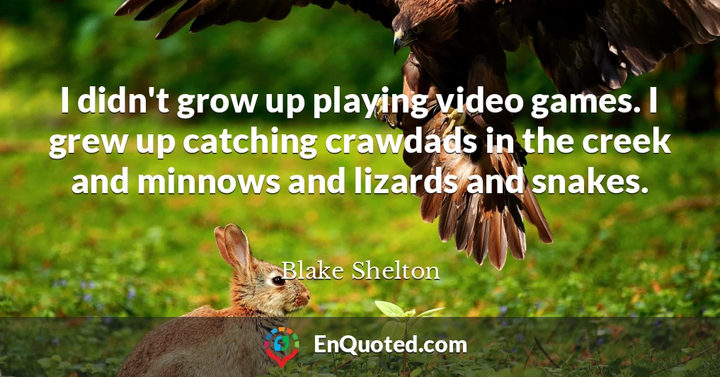 I didn't grow up playing video games. I grew up catching crawdads in the creek and minnows and lizards and snakes.