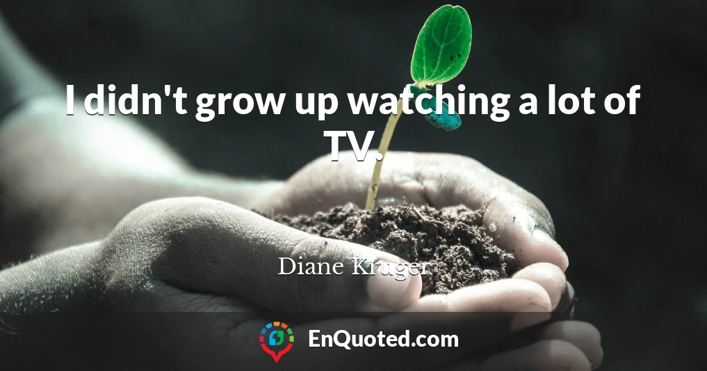 I didn't grow up watching a lot of TV.