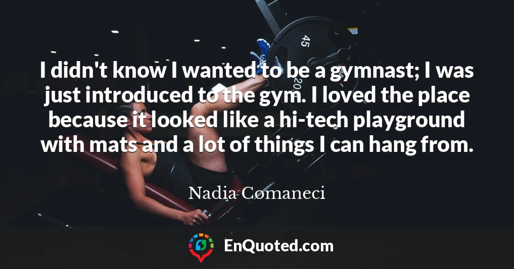 I didn't know I wanted to be a gymnast; I was just introduced to the gym. I loved the place because it looked like a hi-tech playground with mats and a lot of things I can hang from.