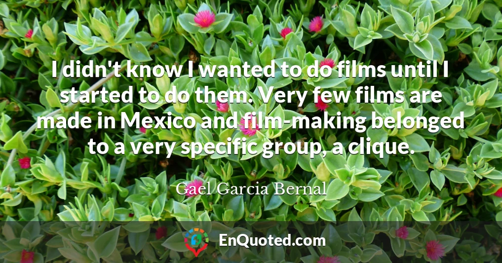 I didn't know I wanted to do films until I started to do them. Very few films are made in Mexico and film-making belonged to a very specific group, a clique.