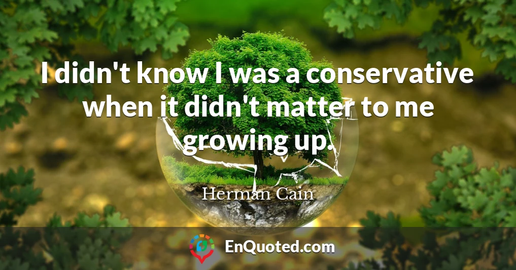 I didn't know I was a conservative when it didn't matter to me growing up.
