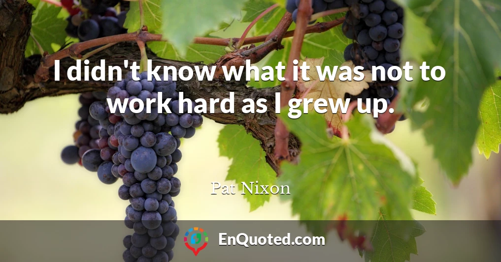 I didn't know what it was not to work hard as I grew up.