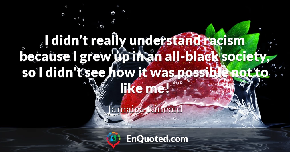 I didn't really understand racism because I grew up in an all-black society, so I didn't see how it was possible not to like me!