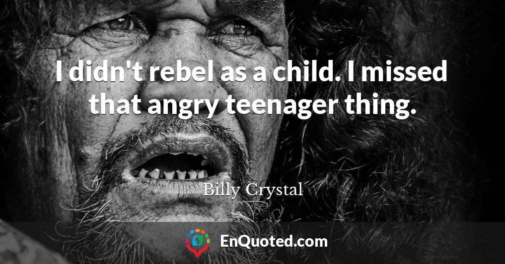 I didn't rebel as a child. I missed that angry teenager thing.