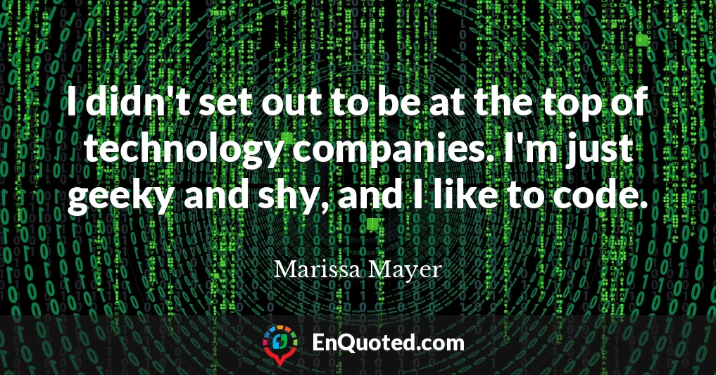 I didn't set out to be at the top of technology companies. I'm just geeky and shy, and I like to code.