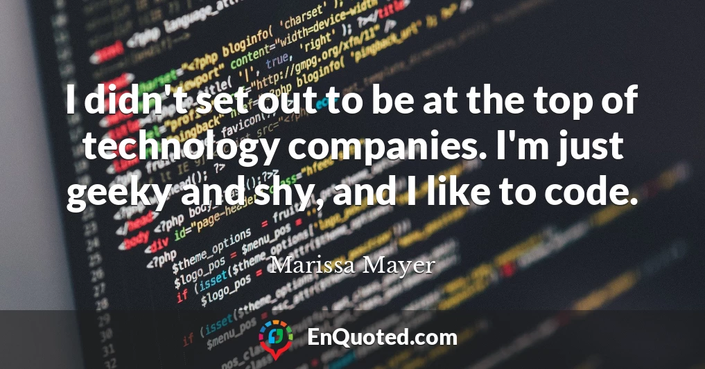 I didn't set out to be at the top of technology companies. I'm just geeky and shy, and I like to code.