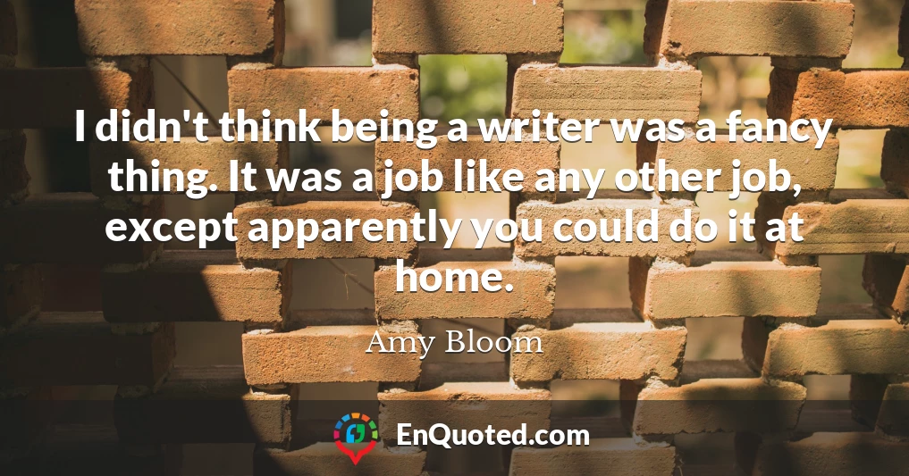 I didn't think being a writer was a fancy thing. It was a job like any other job, except apparently you could do it at home.