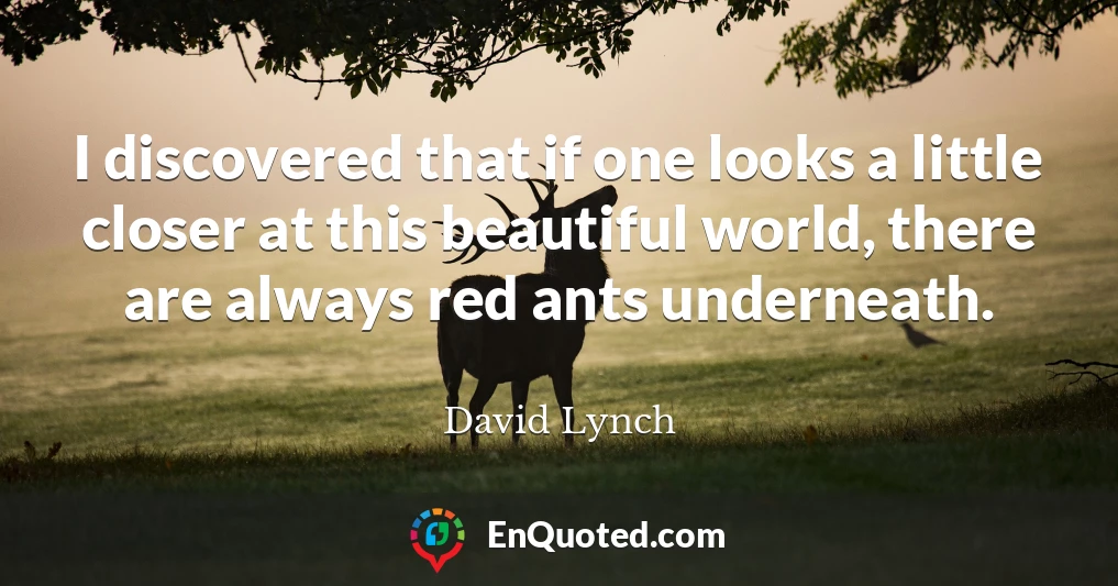 I discovered that if one looks a little closer at this beautiful world, there are always red ants underneath.