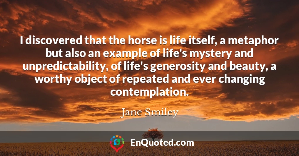 I discovered that the horse is life itself, a metaphor but also an example of life's mystery and unpredictability, of life's generosity and beauty, a worthy object of repeated and ever changing contemplation.