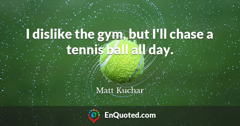 I dislike the gym, but I'll chase a tennis ball all day.