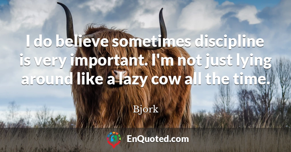 I do believe sometimes discipline is very important. I'm not just lying around like a lazy cow all the time.