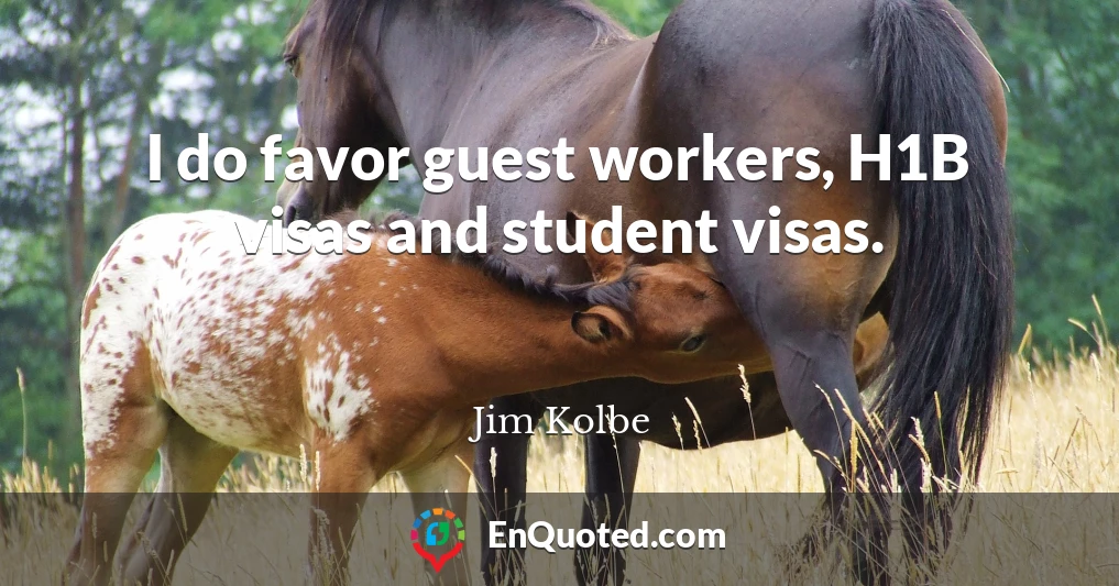 I do favor guest workers, H1B visas and student visas.