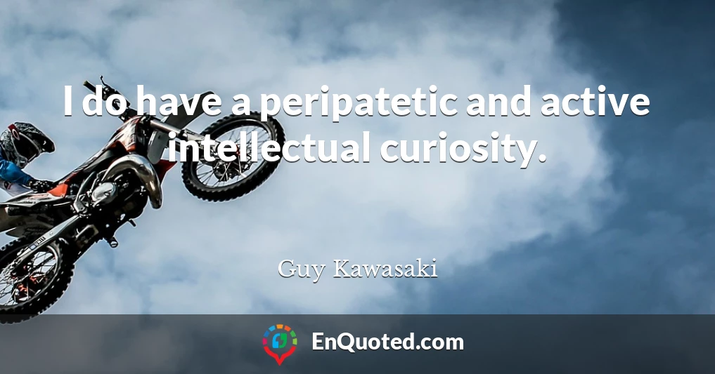 I do have a peripatetic and active intellectual curiosity.