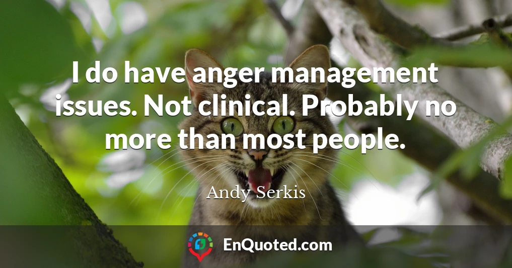 I do have anger management issues. Not clinical. Probably no more than most people.