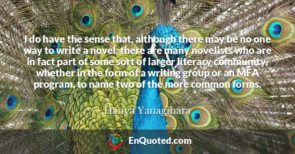 I do have the sense that, although there may be no one way to write a novel, there are many novelists who are in fact part of some sort of larger literary community, whether in the form of a writing group or an MFA program, to name two of the more common forms.