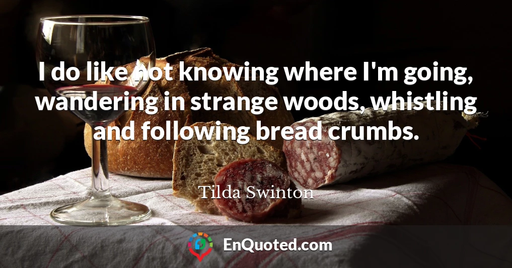 I do like not knowing where I'm going, wandering in strange woods, whistling and following bread crumbs.