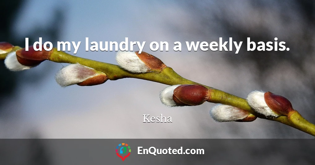 I do my laundry on a weekly basis.