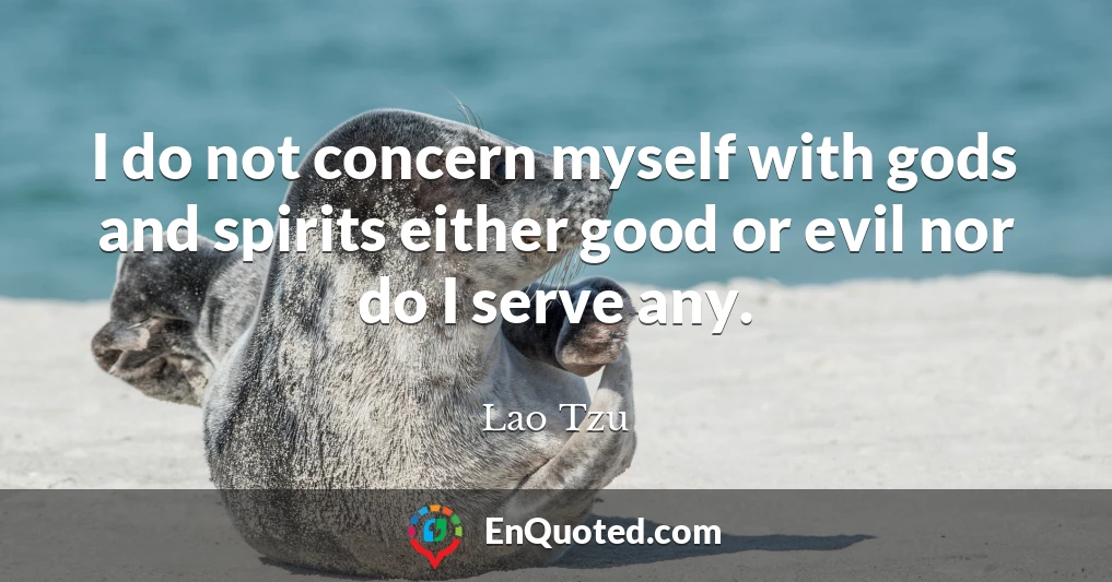 I do not concern myself with gods and spirits either good or evil nor do I serve any.