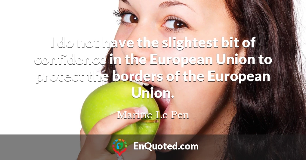 I do not have the slightest bit of confidence in the European Union to protect the borders of the European Union.