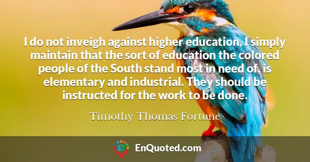 I do not inveigh against higher education, I simply maintain that the sort of education the colored people of the South stand most in need of, is elementary and industrial. They should be instructed for the work to be done.