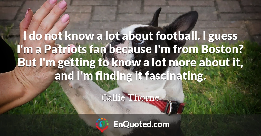 I do not know a lot about football. I guess I'm a Patriots fan because I'm from Boston? But I'm getting to know a lot more about it, and I'm finding it fascinating.