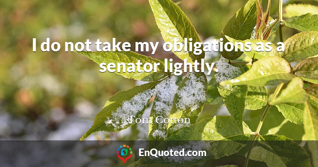 I do not take my obligations as a senator lightly.