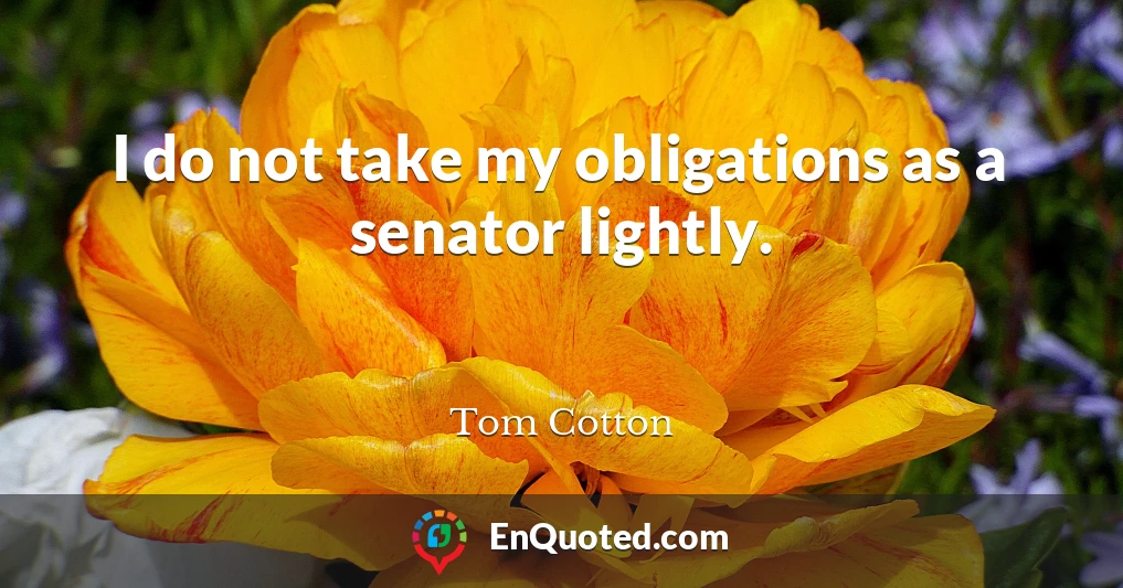 I do not take my obligations as a senator lightly.