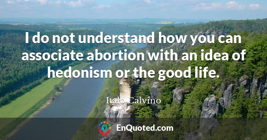 I do not understand how you can associate abortion with an idea of hedonism or the good life.