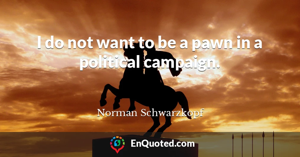 I do not want to be a pawn in a political campaign.