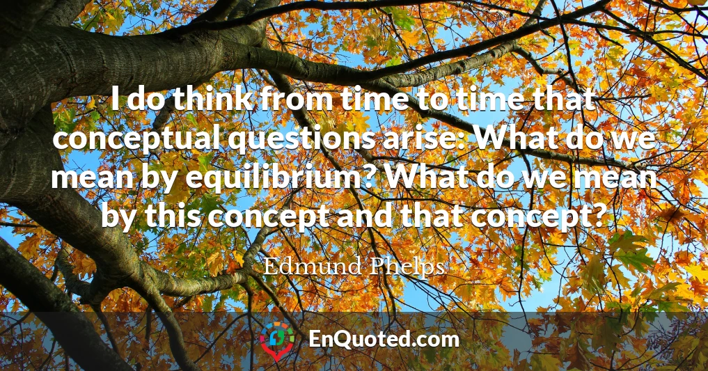 I do think from time to time that conceptual questions arise: What do we mean by equilibrium? What do we mean by this concept and that concept?
