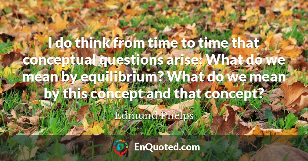 I do think from time to time that conceptual questions arise: What do we mean by equilibrium? What do we mean by this concept and that concept?