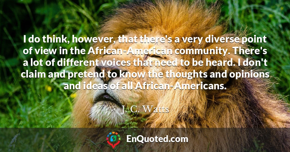 I do think, however, that there's a very diverse point of view in the African-American community. There's a lot of different voices that need to be heard. I don't claim and pretend to know the thoughts and opinions and ideas of all African-Americans.