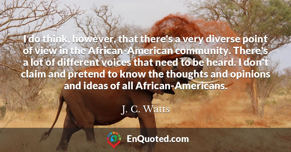 I do think, however, that there's a very diverse point of view in the African-American community. There's a lot of different voices that need to be heard. I don't claim and pretend to know the thoughts and opinions and ideas of all African-Americans.