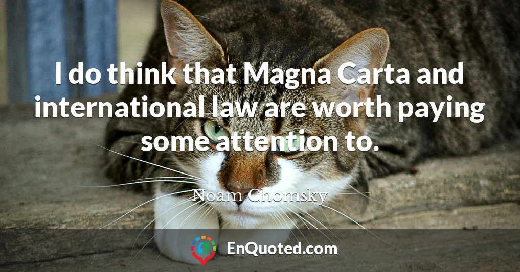 I do think that Magna Carta and international law are worth paying some attention to.