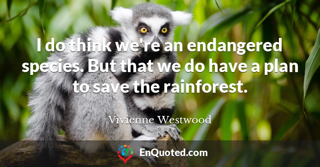 I do think we're an endangered species. But that we do have a plan to save the rainforest.