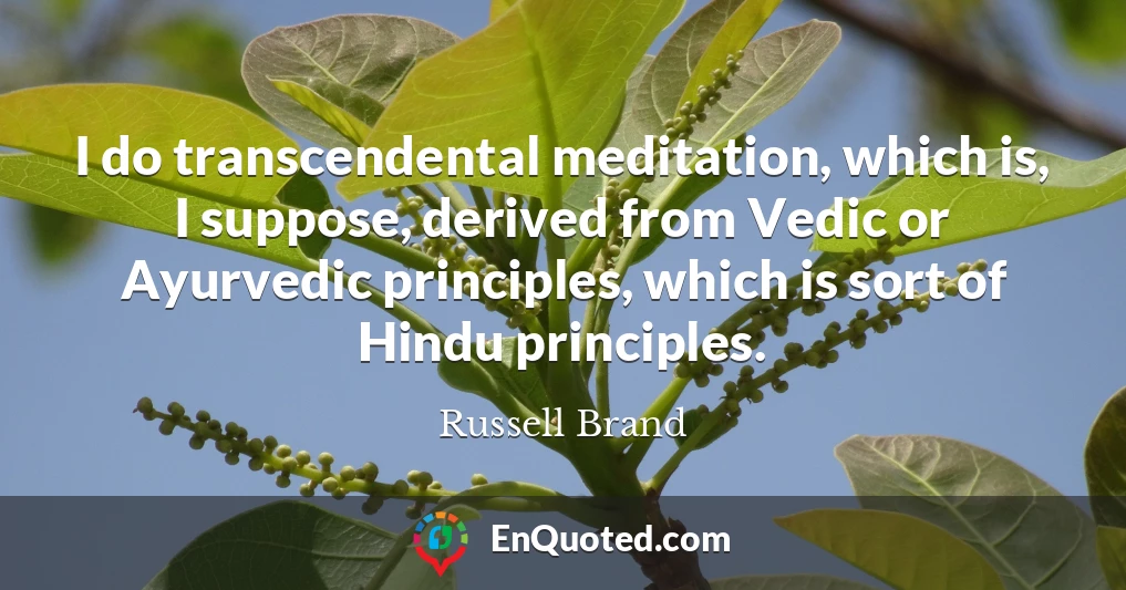 I do transcendental meditation, which is, I suppose, derived from Vedic or Ayurvedic principles, which is sort of Hindu principles.