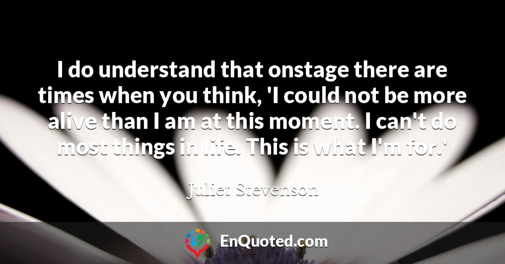 I do understand that onstage there are times when you think, 'I could not be more alive than I am at this moment. I can't do most things in life. This is what I'm for.'