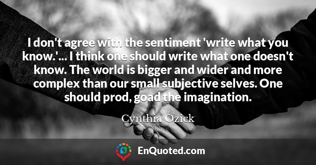 I don't agree with the sentiment 'write what you know.'... I think one should write what one doesn't know. The world is bigger and wider and more complex than our small subjective selves. One should prod, goad the imagination.