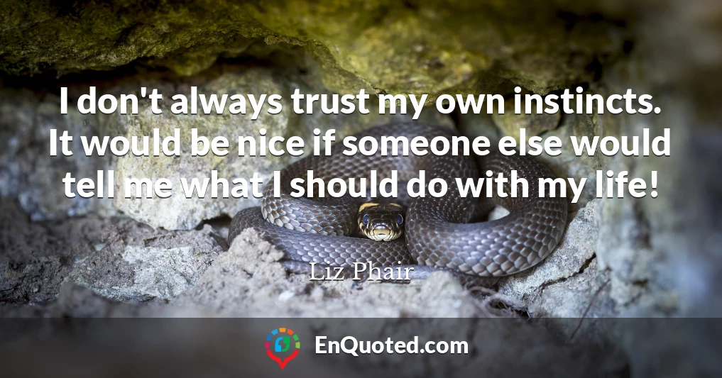 I don't always trust my own instincts. It would be nice if someone else would tell me what I should do with my life!