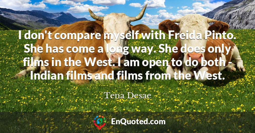 I don't compare myself with Freida Pinto. She has come a long way. She does only films in the West. I am open to do both - Indian films and films from the West.