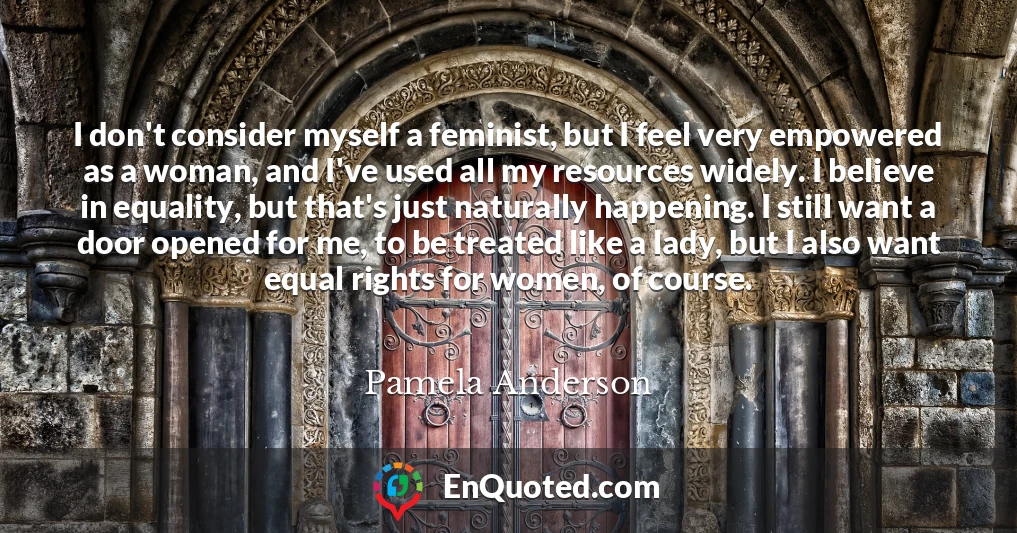 I don't consider myself a feminist, but I feel very empowered as a woman, and I've used all my resources widely. I believe in equality, but that's just naturally happening. I still want a door opened for me, to be treated like a lady, but I also want equal rights for women, of course.