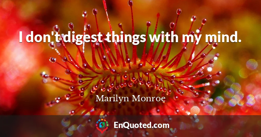 I don't digest things with my mind.