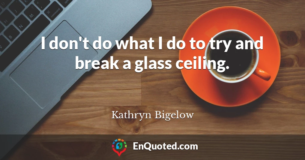 I don't do what I do to try and break a glass ceiling.