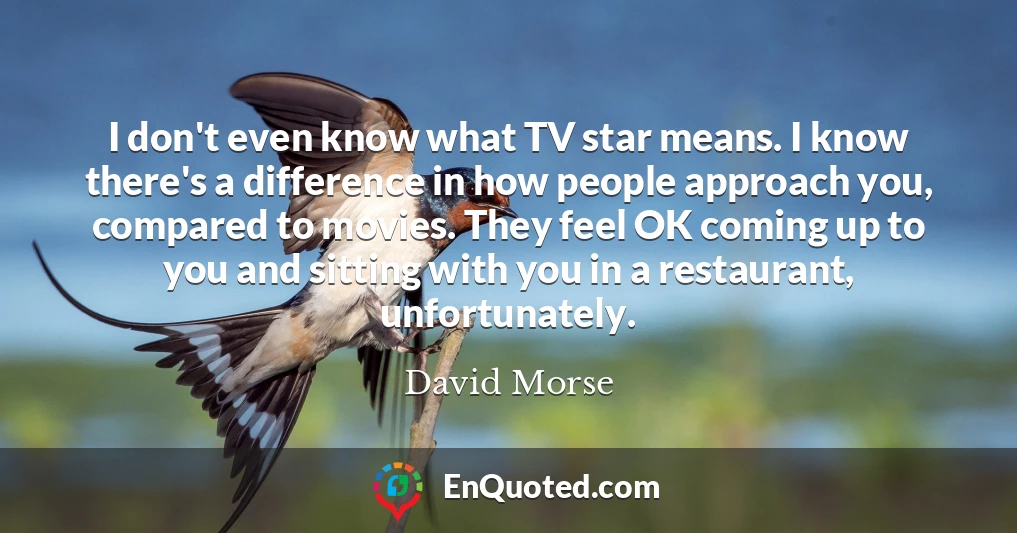 I don't even know what TV star means. I know there's a difference in how people approach you, compared to movies. They feel OK coming up to you and sitting with you in a restaurant, unfortunately.