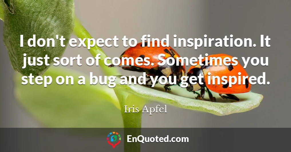 I don't expect to find inspiration. It just sort of comes. Sometimes you step on a bug and you get inspired.