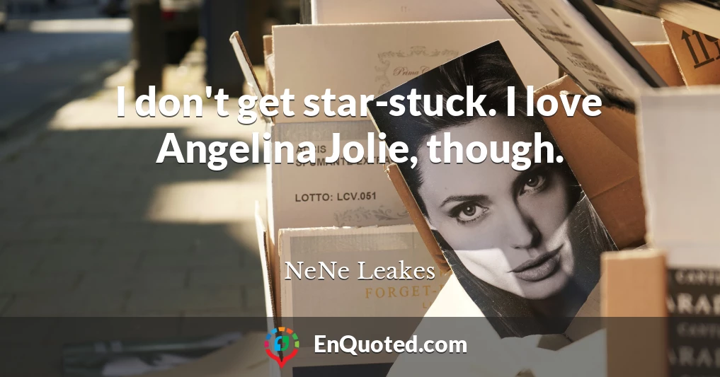 I don't get star-stuck. I love Angelina Jolie, though.