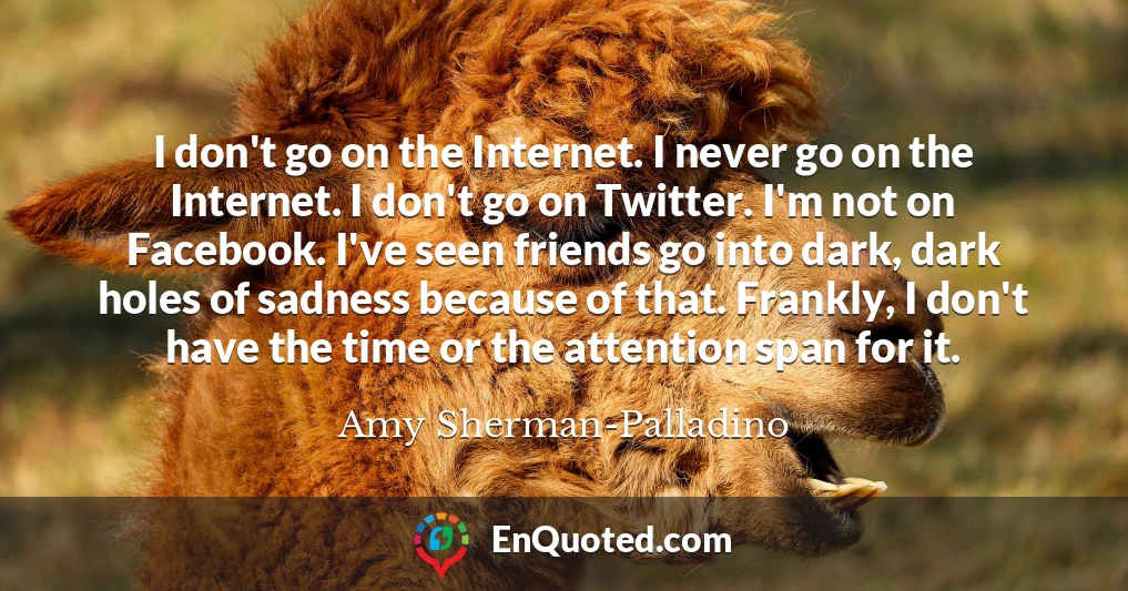 I don't go on the Internet. I never go on the Internet. I don't go on Twitter. I'm not on Facebook. I've seen friends go into dark, dark holes of sadness because of that. Frankly, I don't have the time or the attention span for it.