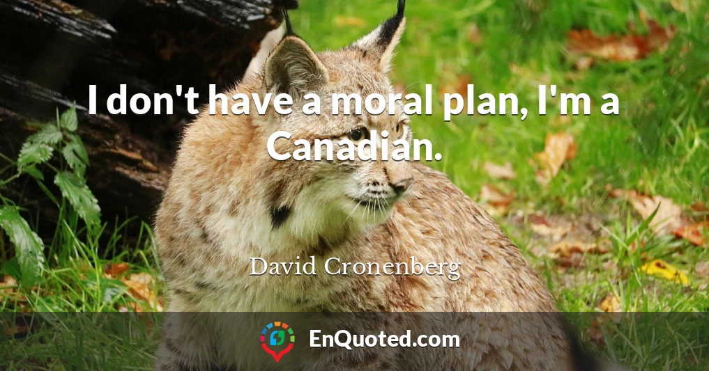 I don't have a moral plan, I'm a Canadian.